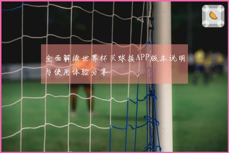 全面解读世界杯买球接APP版本说明与使用体验分享