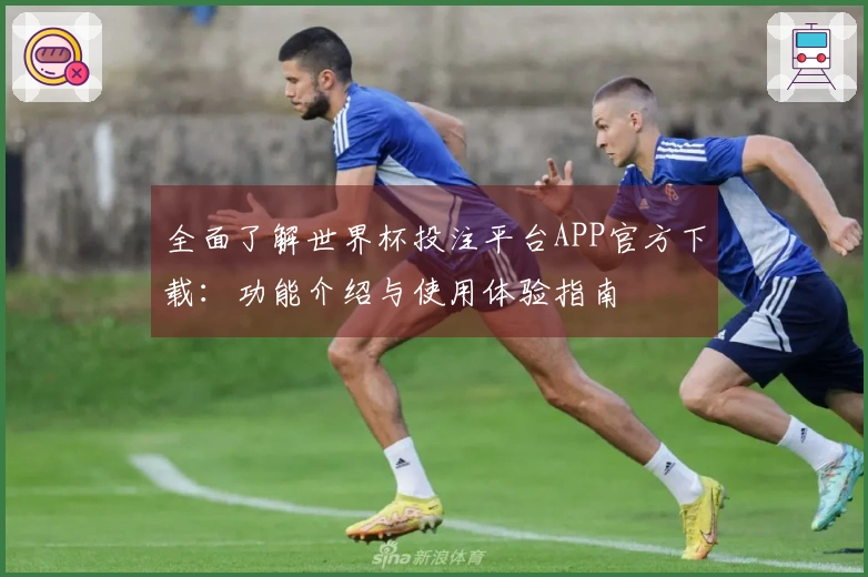 全面了解世界杯投注平台APP官方下载：功能介绍与使用体验指南