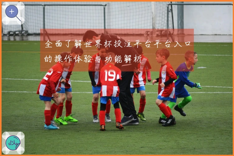 全面了解世界杯投注平台平台入口的操作体验与功能解析