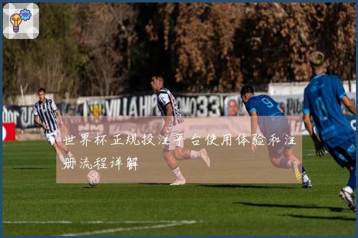 世界杯正规投注平台使用体验和注册流程详解