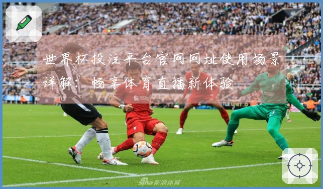 世界杯投注平台官网网址使用场景详解：畅享体育直播新体验