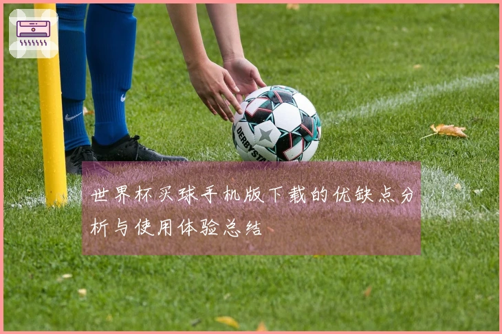 世界杯买球手机版下载的优缺点分析与使用体验总结