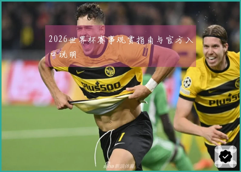 2026世界杯赛事观赏指南与官方入口说明