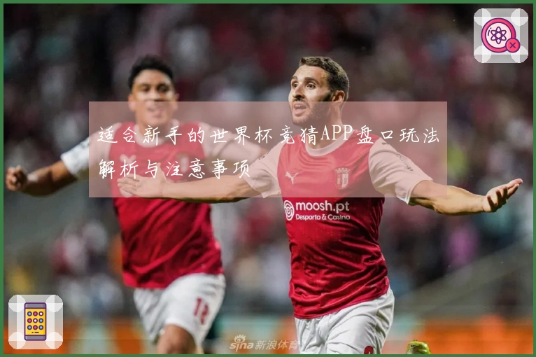 适合新手的世界杯竞猜APP盘口玩法解析与注意事项