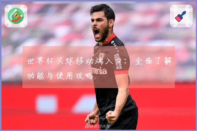 世界杯买球移动端入口：全面了解功能与使用攻略