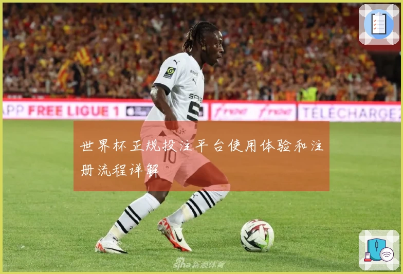 世界杯正规投注平台使用体验和注册流程详解