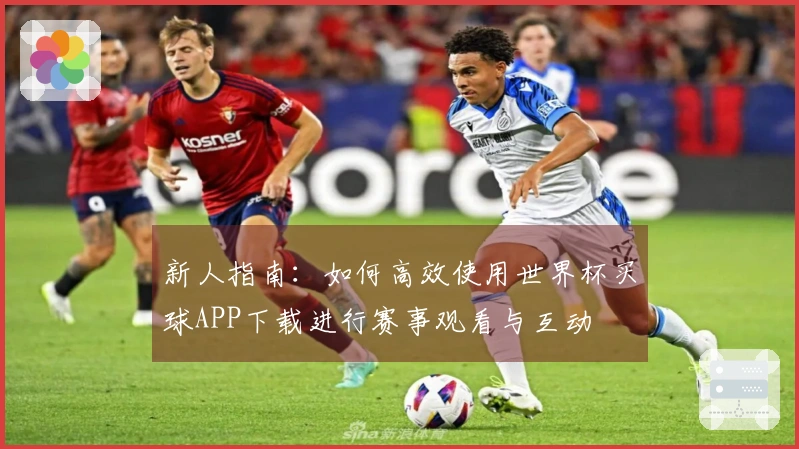 新人指南：如何高效使用世界杯买球APP下载进行赛事观看与互动