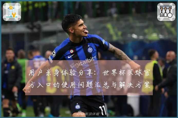 用户亲身体验分享：世界杯买球官方入口的使用问题汇总与解决方案