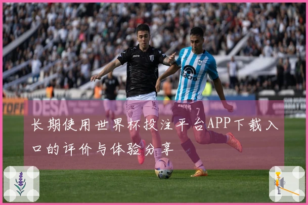 长期使用世界杯投注平台APP下载入口的评价与体验分享