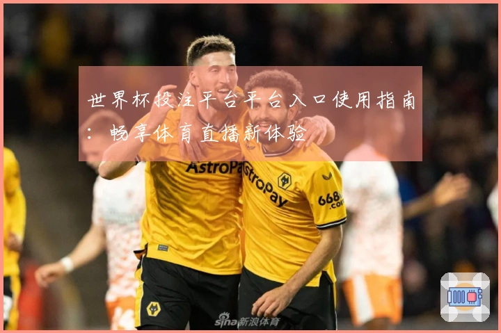世界杯投注平台平台入口使用指南：畅享体育直播新体验