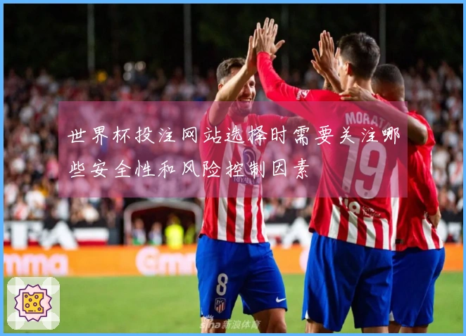 世界杯投注网站选择时需要关注哪些安全性和风险控制因素
