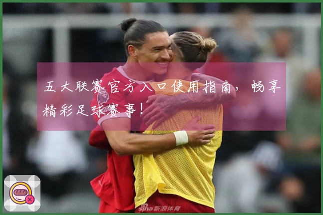 五大联赛官方入口使用指南，畅享精彩足球赛事！