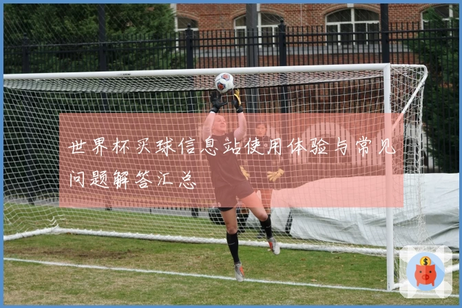 世界杯买球信息站使用体验与常见问题解答汇总