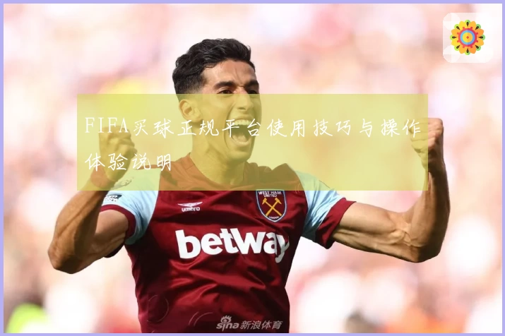 FIFA买球正规平台使用技巧与操作体验说明