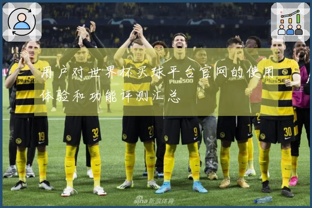 用户对世界杯买球平台官网的使用体验和功能评测汇总