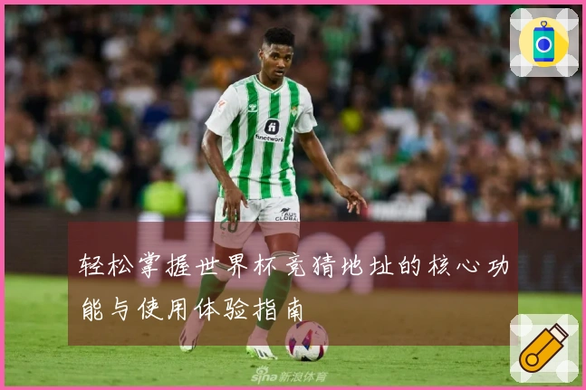轻松掌握世界杯竞猜地址的核心功能与使用体验指南